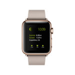 Fitbit Versa 2 Smartwatch (FB507RGPK, Petal/Rose)